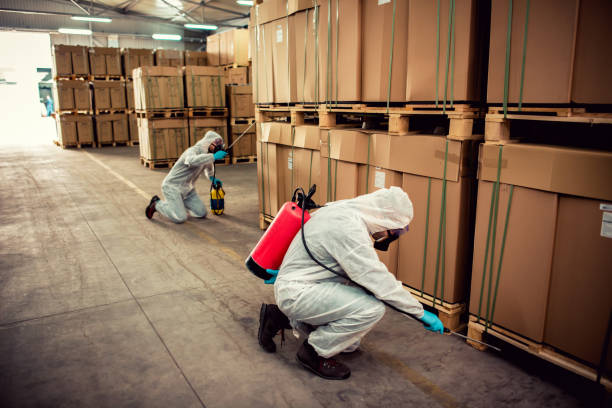 Best Termite Control Services  in Spring City, TN