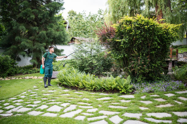Best Exterminator Services  in Spring City, TN