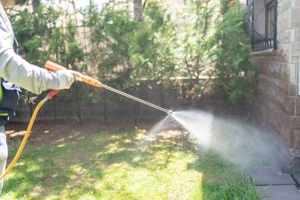 Best Cockroach Control Services  in Spring City, TN