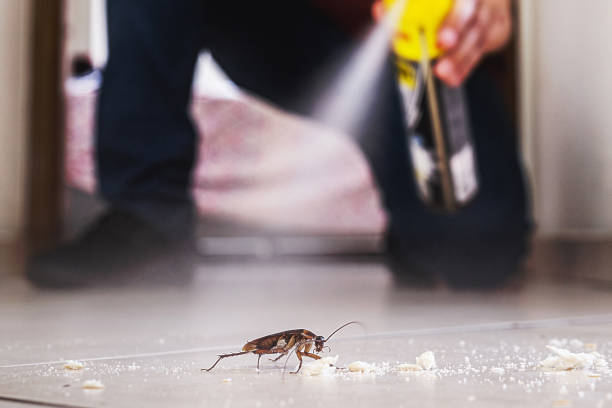  Spring City, TN Pest Control Pros